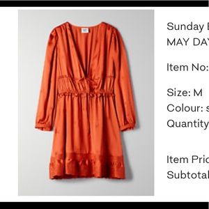 Aritzia “Sinopia” colored dress